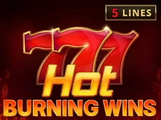 Hot Burning Wins game icon